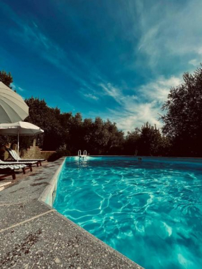Casa Verde Country House Montescudaio
